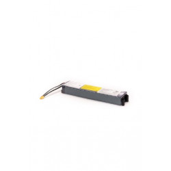 Batteria 36V 7,8AH XT60 per Monopattino Ducati PRO-I PLUS, PRO-I EVO, Argento ACTIVE 2020
