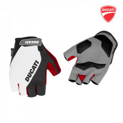 Guantini Ducati